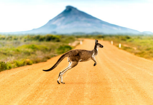 Australia